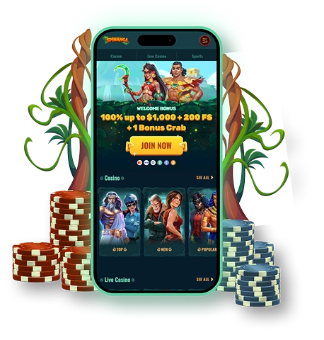 Spinanga Casino NZ Mobile